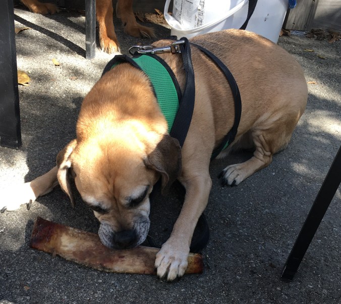 Hefner and his rib bone