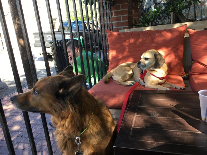 Congress Street Social Club