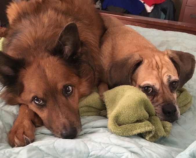 Photo Dec 06, 12 39 41 PM