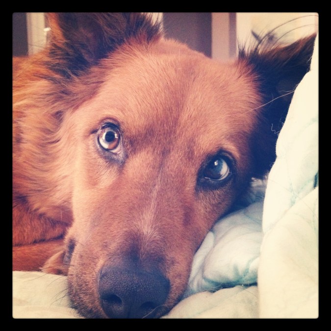 Photo Dec 31, 12 11 36 PM