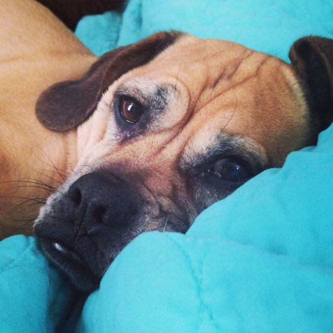 Photo Jan 18, 10 50 03 AM