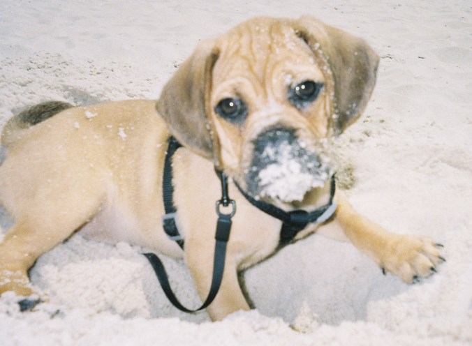 Photo Jan 23, 10 19 59 PM